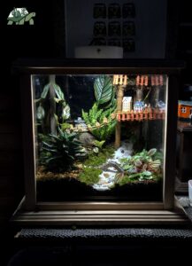 terrarium 4