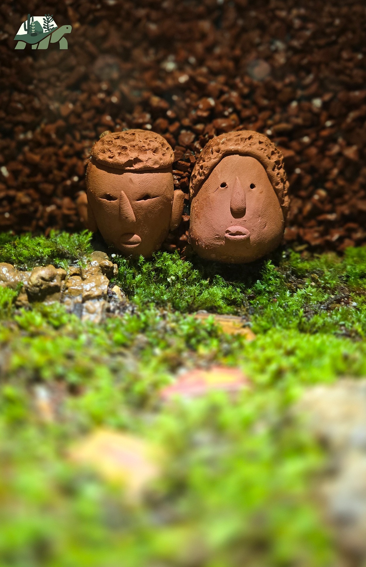 top terrarium in india